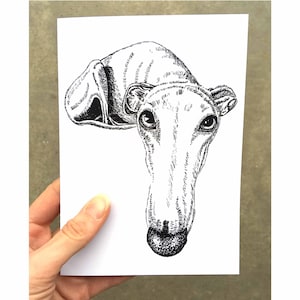 Cartão de felicitações para cães Whippet, Cartão engraçado para cães, Cartão para galgos