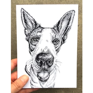 Collie Greeting Card, Funny Dog Card