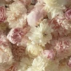 May include: A close-up of a collection of pink and white peonies. The peonies are in full bloom and have a soft, delicate texture.