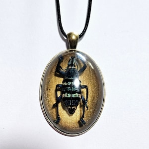 Fancy Blue Weevil Necklace, Beetle Necklace, Bug Jewelry, Bug Necklace, Weevil Jewelry, Weevil Pendant, Insect Jewelry, Bug Pendant