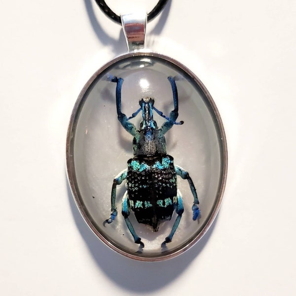 Weevil, Weevil necklace, bug jewelry, insect pandant, bug necklace, Weevil jewelry, Weevil pendant, insect jewelry, bug pendant, weevil bug