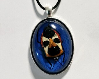 Man Face Beetle, Beetle Jewelry, Bug Necklace, Beetle Pendant, Beetle, Necklace, Bug Jewelry, Bug in Resin, Catacanthus Beetle, Real bug