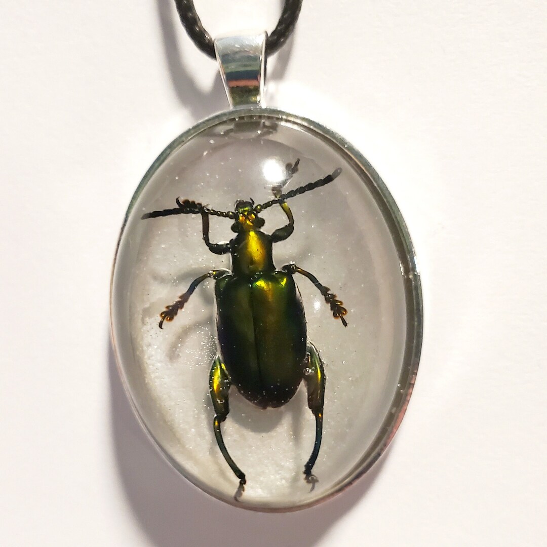 Beetle Jewelry, Frog Flower Beetle, Bug Jewelry, Beetle Pendant, Beetle Necklace, Real Insect