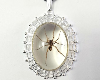 Real Spider Resin Pendant, Arachnid Jewelry