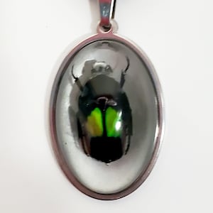 Beetle Necklace, Beetle Jewelry, Dicheros Modestus, Bug Jewelry, Bug Necklace, Bug in Resin, Bug Pendant, Insect Jewelry, Beetle Pendant