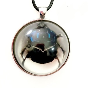 Beetle necklace, bug necklace, beetle jewelry, male scarab beetle, insect pendant, beetle pendant, bug jewelry, bug pendant, scarab in resin