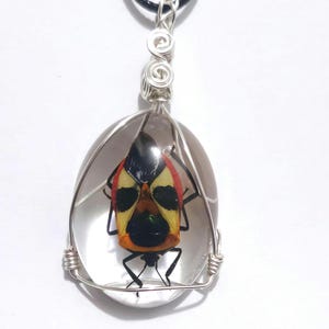 Man Face Beetle, Red and Yellow Beetle Necklace, Insect Jewelry, Beetle Pendant, Bug Jewelry, Bug in Resin, Catacanthus Beetle, Face Bug