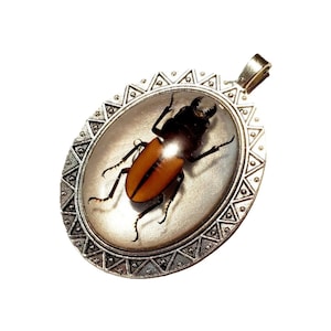 Stag Beetle Necklace, beetle in resin, bug pendant, bug jewelry, Stag Beetle, insect necklace, bug necklace, beetle jewelry, insect jewelry