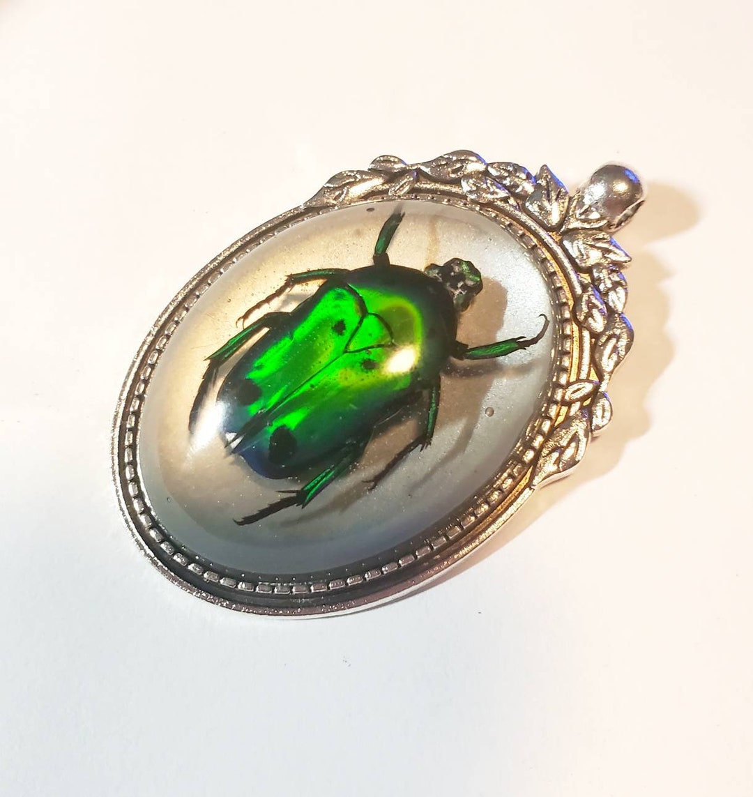 Beetle Jewelry, Real Insect, Insect Jewelry, Flower Beetle, Bug Jewelry ...