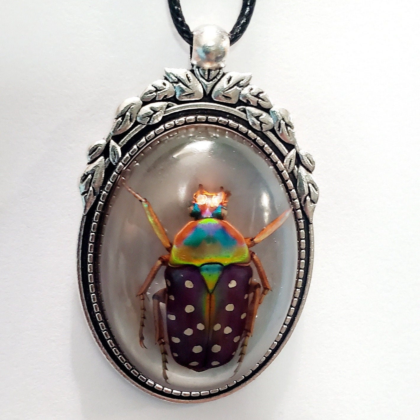 Real Insect Jewelry Etsy