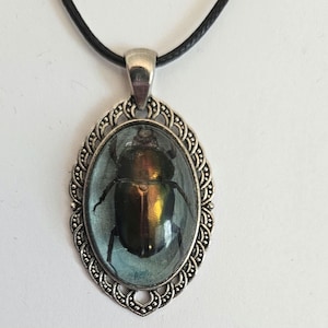 Beetle jewelry, Beetle Necklace, Bug Jewelry, Beetle in Resin, Female Stag Beetle, Bug Necklace, Insect Jewelry, Bug in Resin, Green Beetle