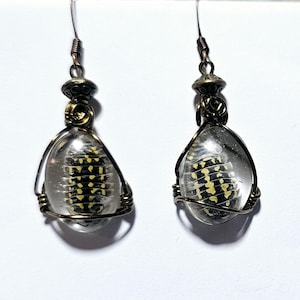 May include: A pair of earrings with a clear glass teardrop shape, each containing a black and yellow beetle. The earrings are made with brass wire and have a brass hook.