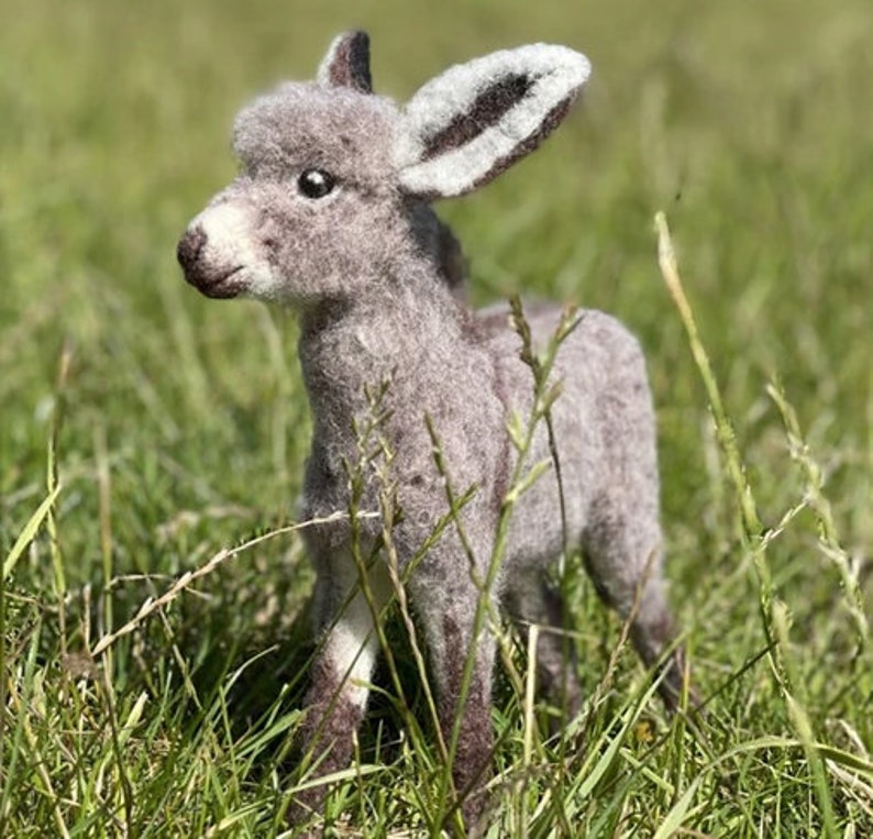 Needle Felting Kit Diego the Donkey From World of Wool Etsy
