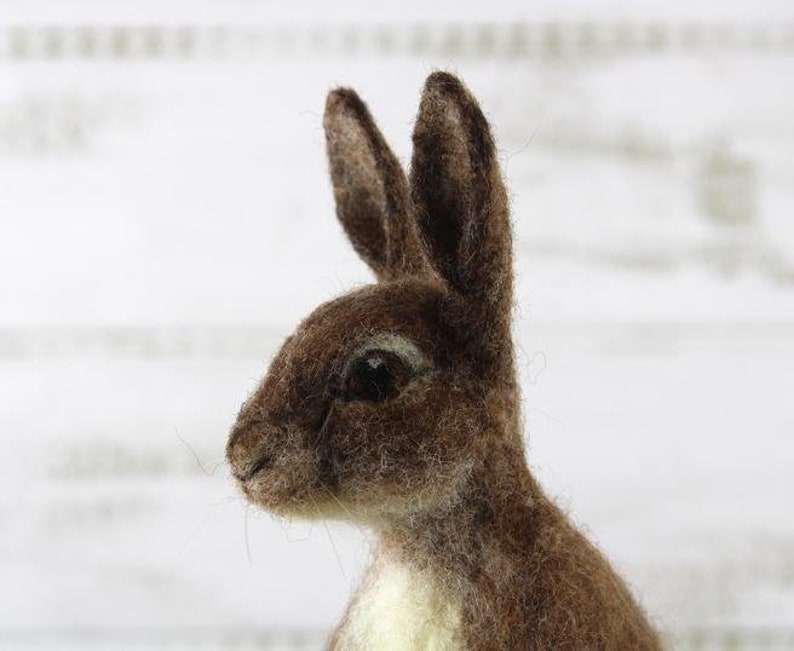 Needle Felting Kit: Romeo Rabbit From World of Wool With Full Color ...