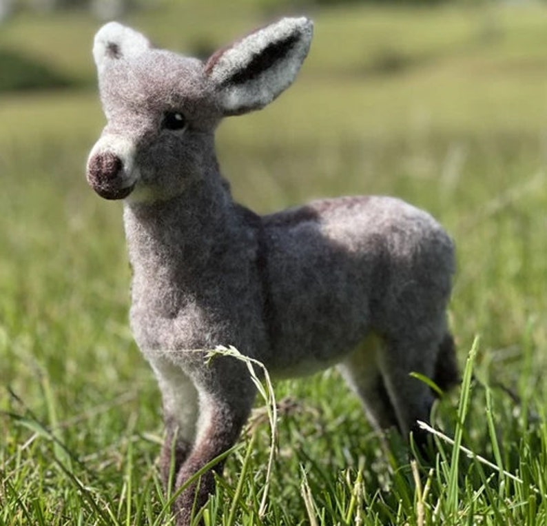 Needle Felting Kit Diego the Donkey From World of Wool Etsy