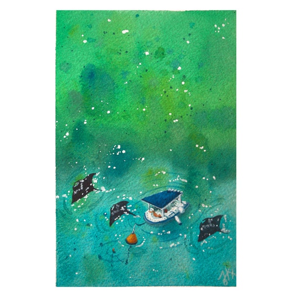 Aquarelle sortie bateau, raies, tortues