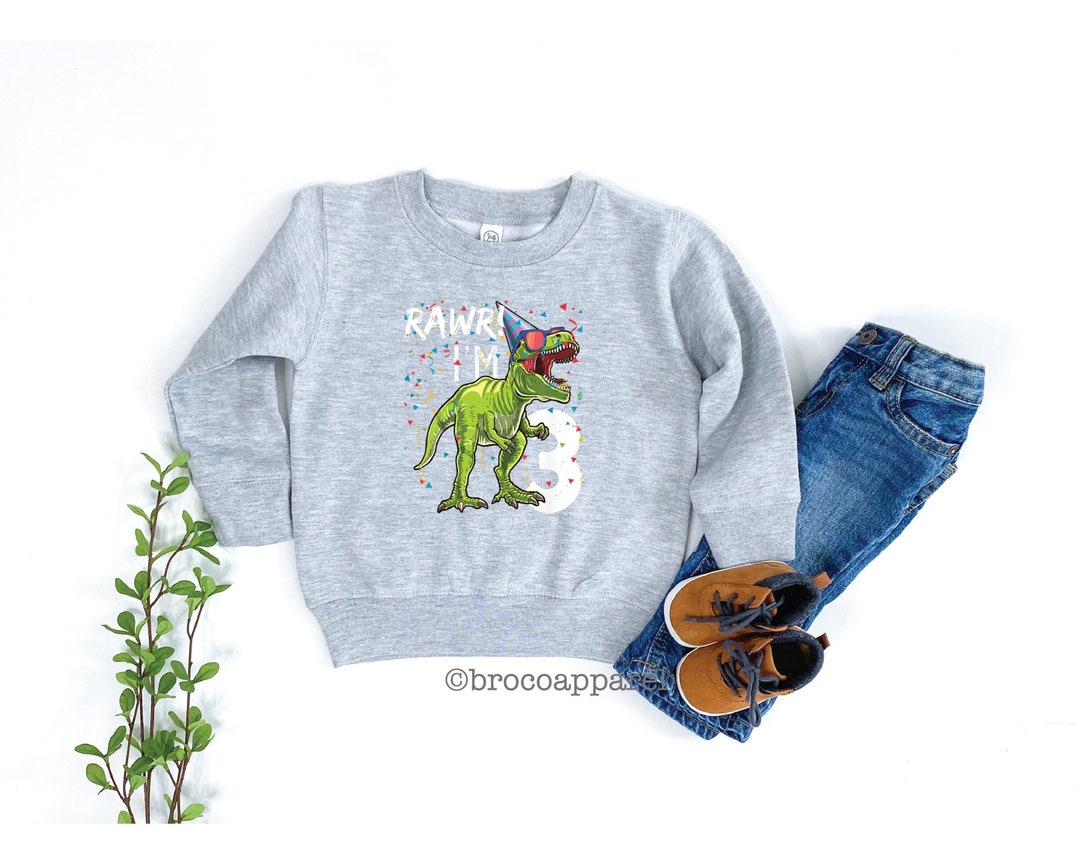Rawr Im 3 Sweatshirt, Birthday Boy Sweatshirt, Dinosaur Sweatshirt