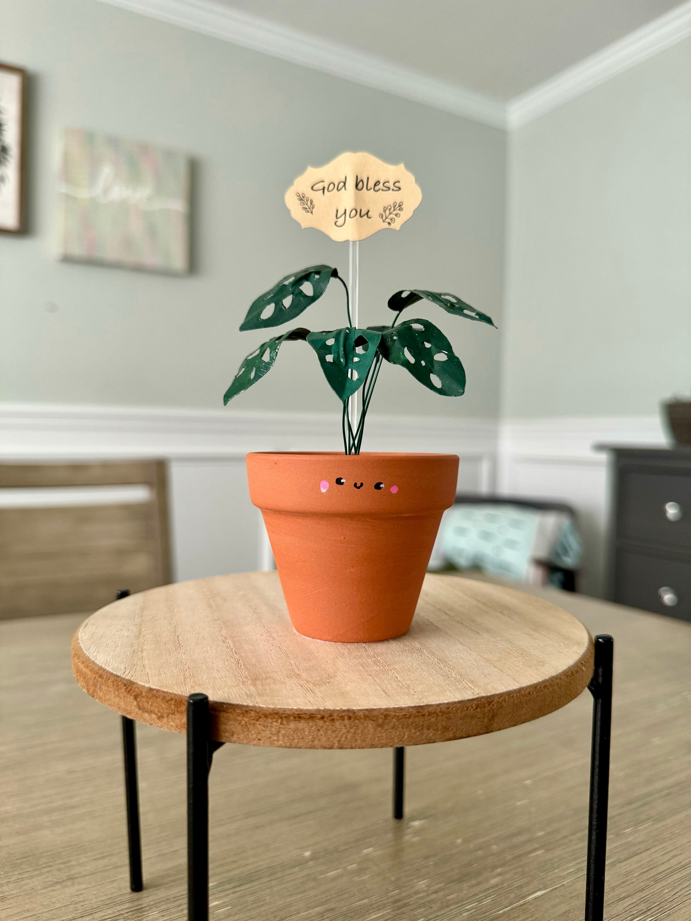 fasciata plant care Shop 'Zebra Plant - Haworthia fasciata' Care and Growing Guide
