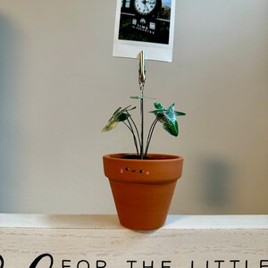 May include: A small terracotta pot with a painted face and pink cheeks, holding a green plant with white variegation. The pot is sitting on a white wooden surface with the text "For the little things, the big things, the things in" written in black.