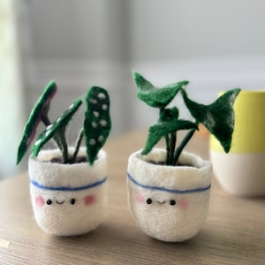 Needle felted Handmade house plant photo holder | plant photo stand | mini photo display | polaroid and Instax photo holder | Holiday gift