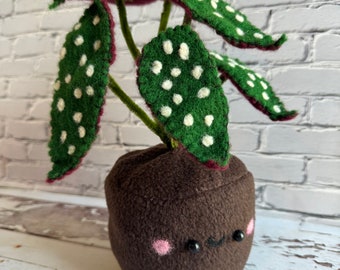 Needle felted Handmade Begonia Maculata plant plush | house plant decor | plant gift | plant lover gift | Holiday gift