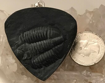Huge Trilobite Fossil Pendant Necklace