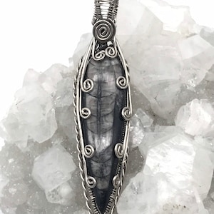 Wire Wrapped Orthoceras Fossil Pendant