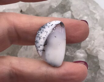 May include: A white and black dendritic opal cabochon with a curved shape. The opal has a white base with black dendritic inclusions.