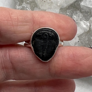 Fossil Trilobite Stone Ring, Size 9