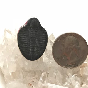 CLEARANCE Fossil Trilobite Stone Ring, Size  8 1/2
