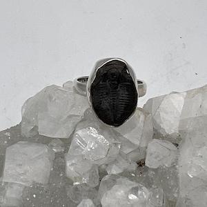 Fossil Trilobite Stone Ring, Size 8