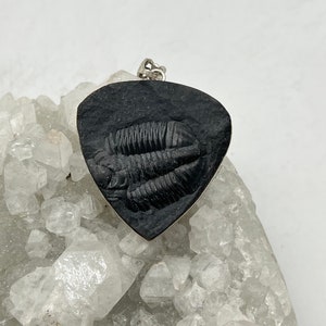 Huge Trilobite Fossil Pendant