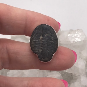 Fossil Trilobite Stone Ring,  Size 6 1/2