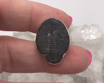 Anello con pietra fossile di trilobite, misura 6 1/2