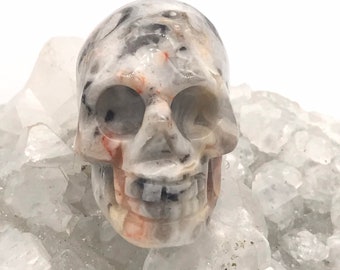 Crazy Lace Agate Carved Skull-2"