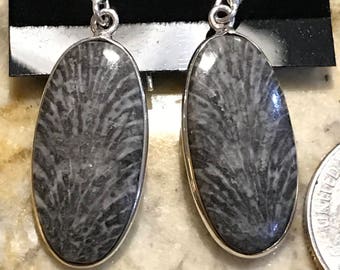 Fossilized Stingray Coral Earrings