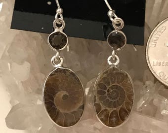 Ammonite and Garnet Earrings
