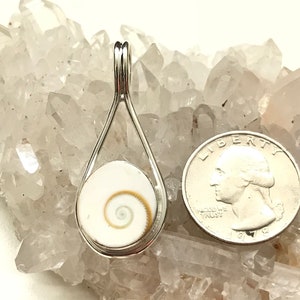 CLEARANCE Shiva Shell Pendant