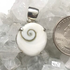 CLEARANCE Shiva Shell Pendant