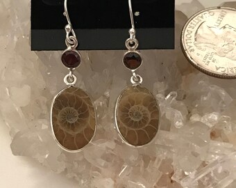Ammonite and Garnet Earrings