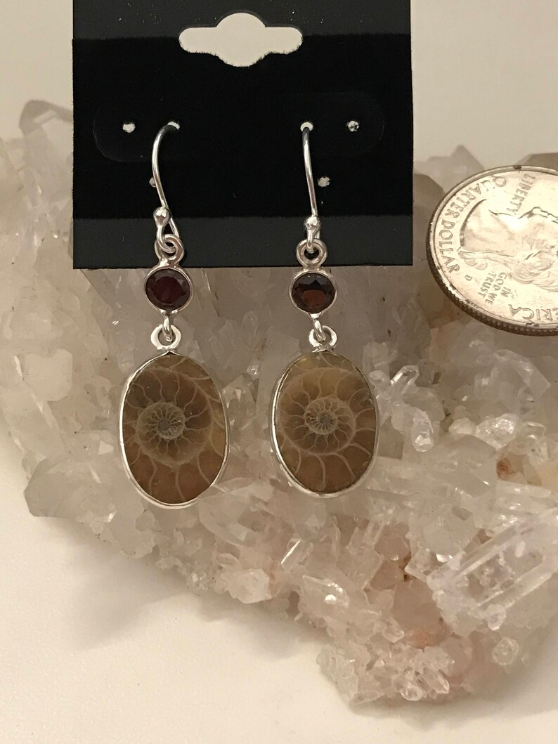 Ammonite and Garnet Earrings