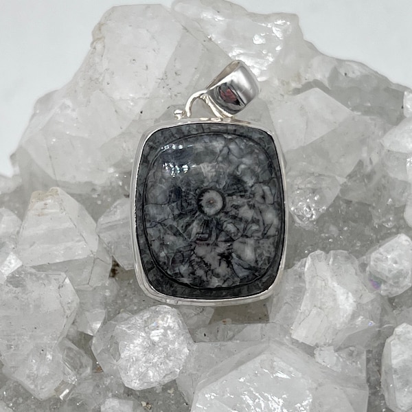 Unique Orthoceras Fossil Eye Pendant