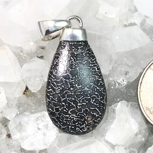 CLEARANCE Dinosaur Bone Pendant