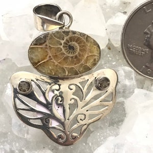 CLEARANCE Ammonite and Smokey Topaz Pendant