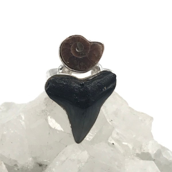 Shark Tooth and Little Ammonite Ring Size 6 1/2