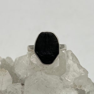 Fossil Trilobite Stone Ring, Size 9