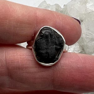 Fossil Trilobite Stone Ring, Size 5 1/2
