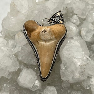 Huge Shark Tooth Pendant