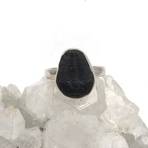 Fossil Trilobite Stone Ring, Size 9 1/2