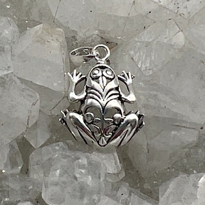 CLEARANCE Sterling Silver Frog Pendant